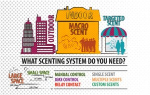 SCO which system do you need?